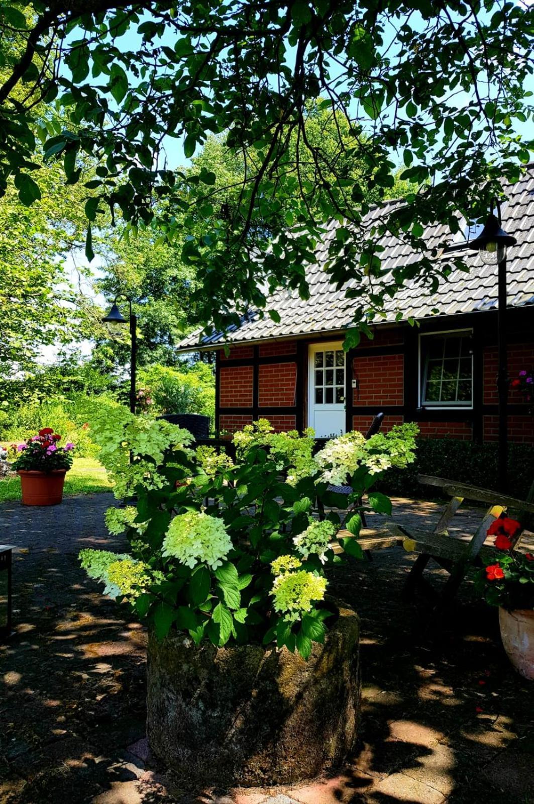 Munsterland Cottage Lengerich Eksteriør bilde