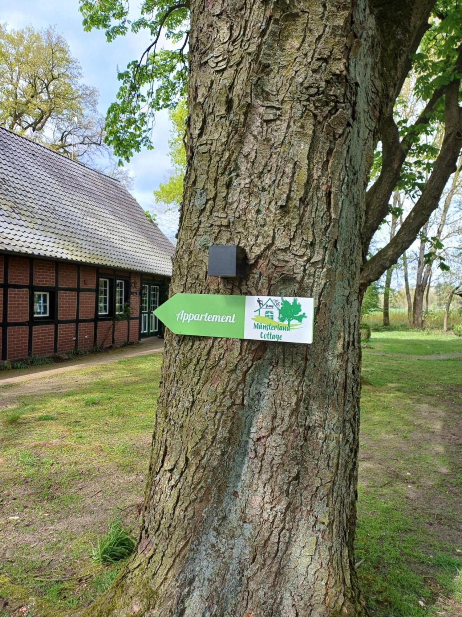 Munsterland Cottage Lengerich Eksteriør bilde